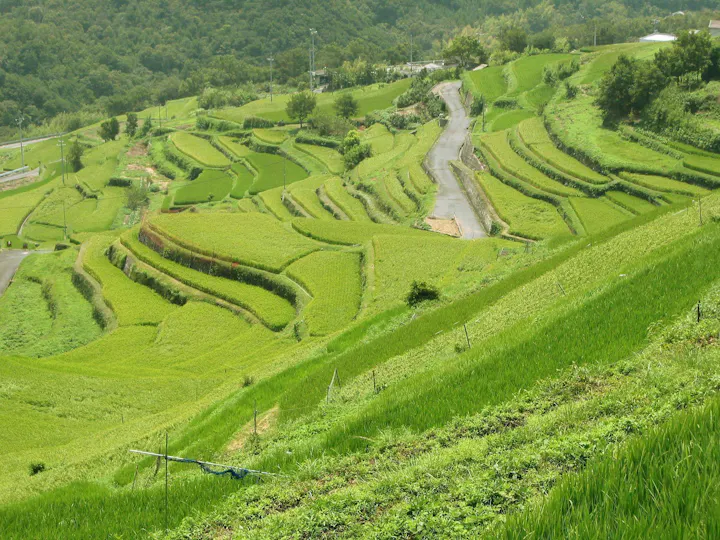 香川県全体