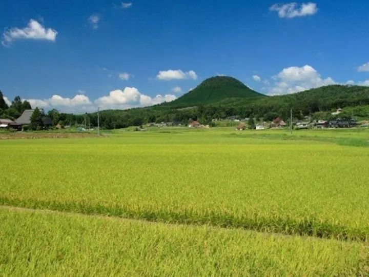 新見市