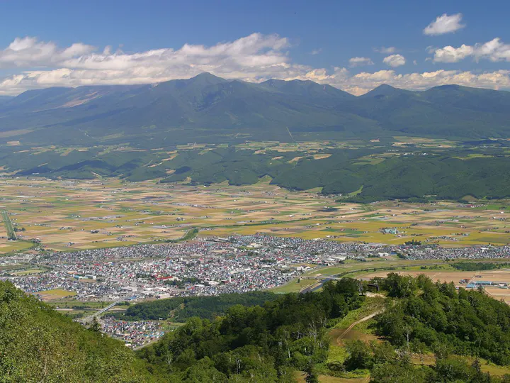 富良野市