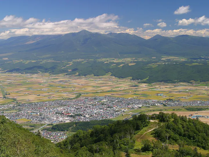 富良野市
