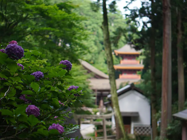 近江八幡市