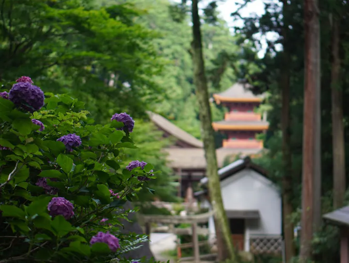 近江八幡市