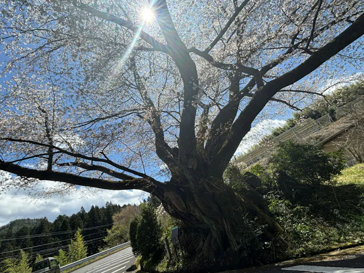 いわき市