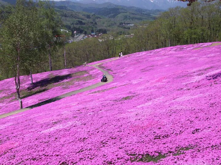 滝上町