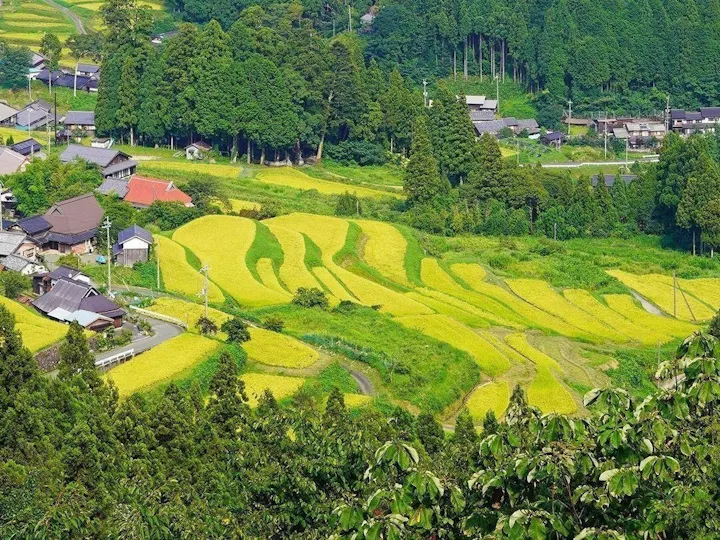 高島市