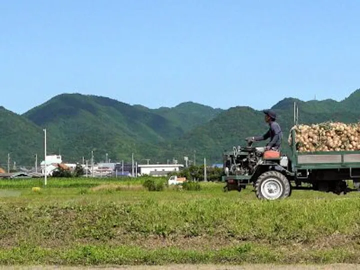 南あわじ市