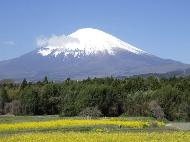 小山町