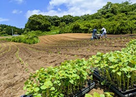 田村市