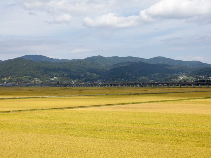 一関市