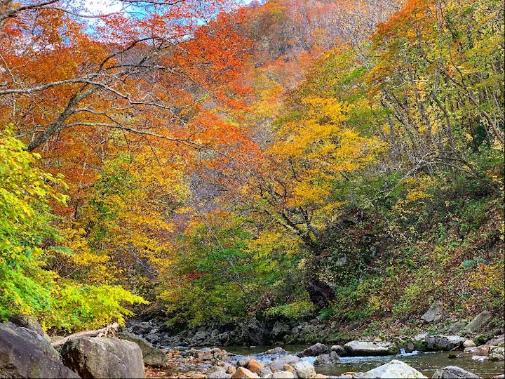 八雲町