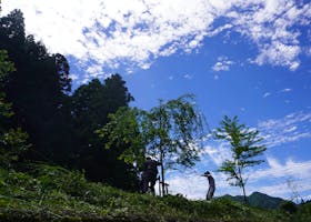 五ヶ瀬町