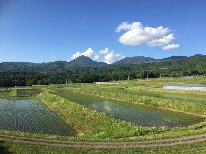 茅野市