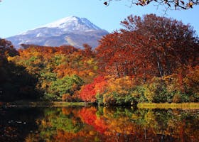 由利本荘市
