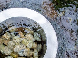 大野市 ソトコトが贈る しっかりと学び関わる みずコトアカデミー 見たい知りたいに応える あなた仕立ての移住相談 申込受付中 大野市 ソトコトが贈る しっかりと学び関わる みずコトアカデミー 見たい知りたいに応える あなた仕立ての移住相談 申込受付中