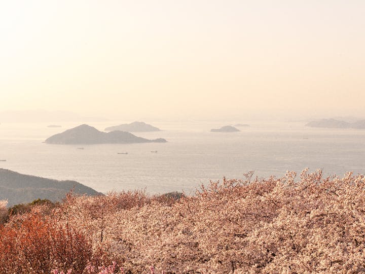 三豊市