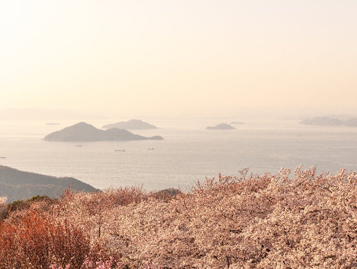 三豊市