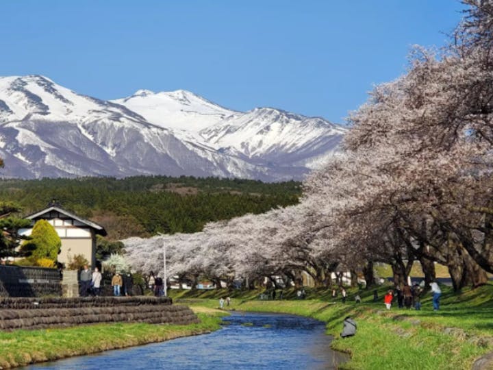 鶴岡市