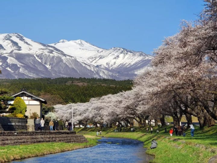鶴岡市