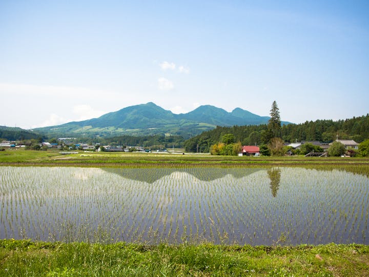 高山村