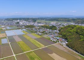 新富町