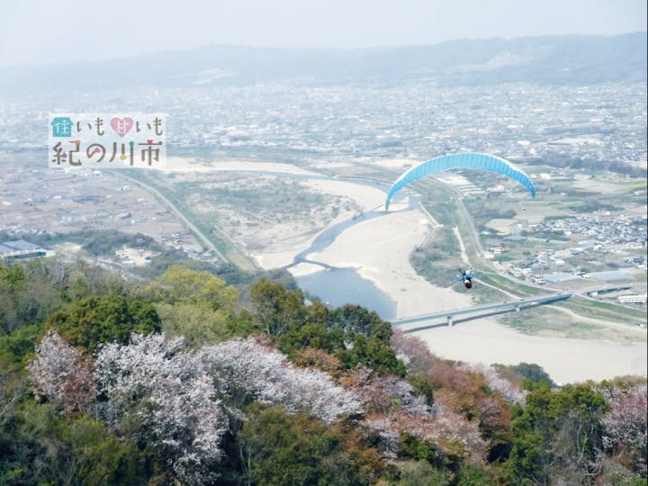 紀の川市
