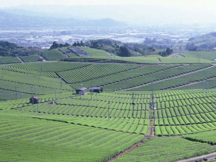 八女市