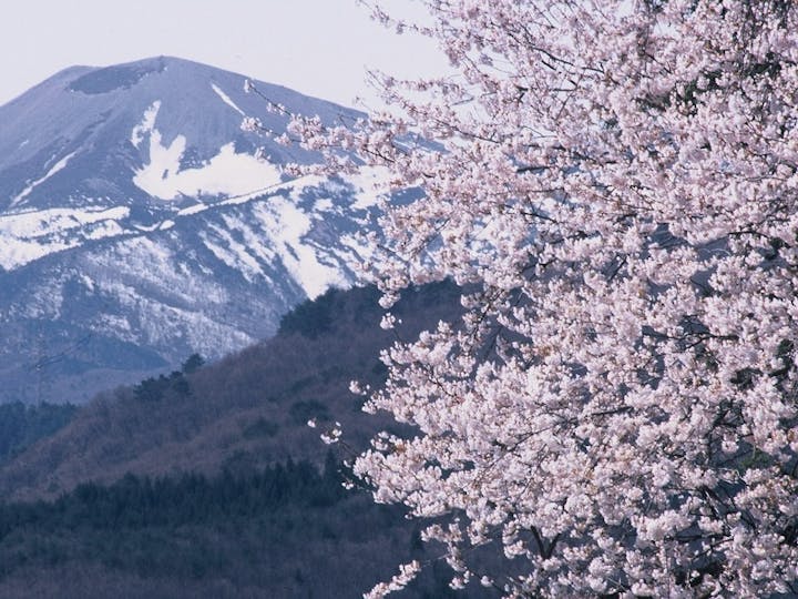 福島市