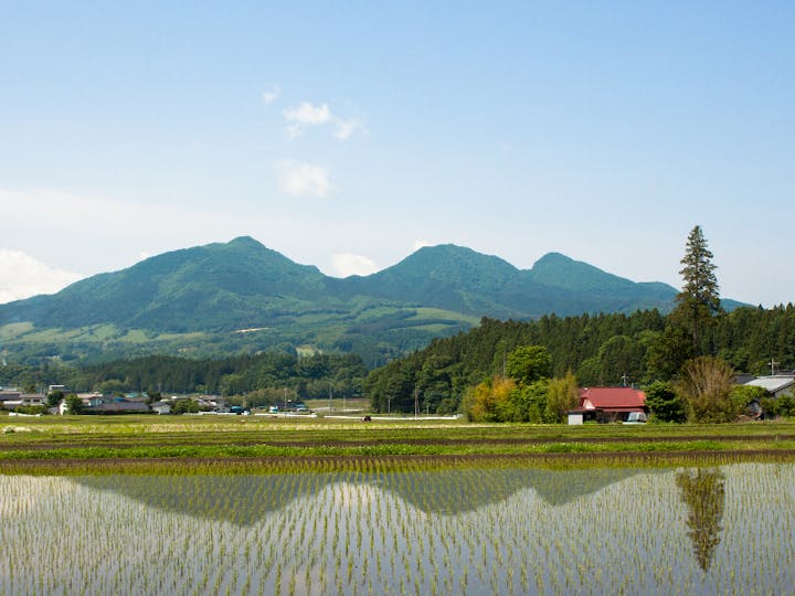 高山村