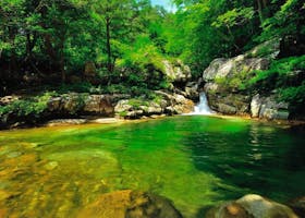 根羽村