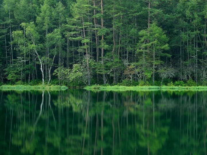 茅野市