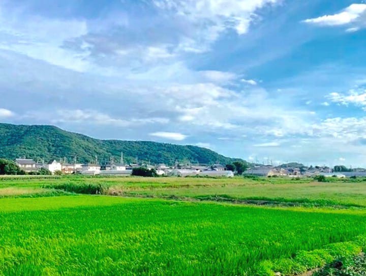 田原市