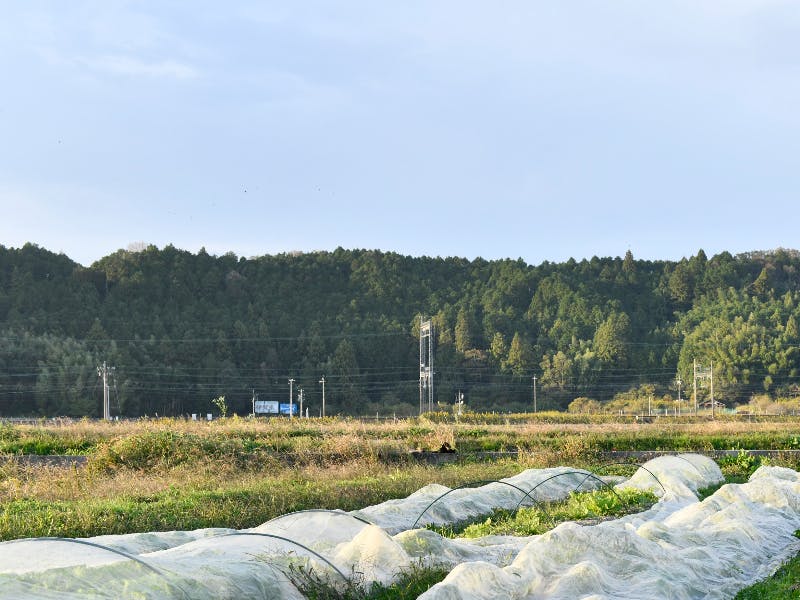 三重県名張市