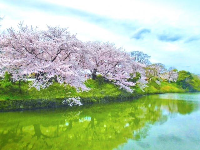 京都府舞鶴市