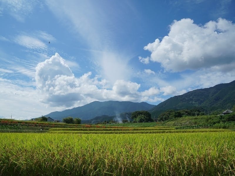 奈良県御所市
