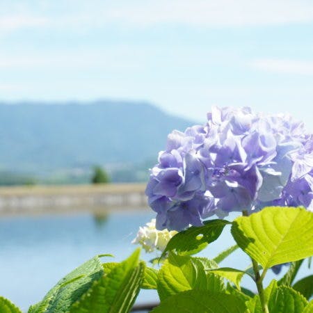 和歌山県橋本市