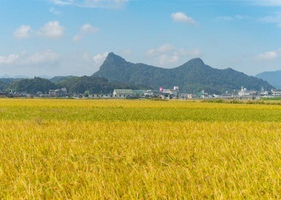 佐賀県武雄市