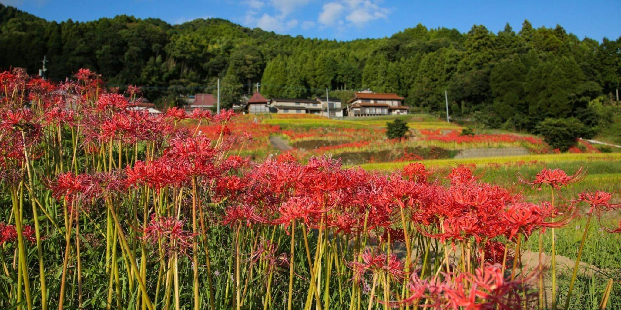 佐賀県小城市
