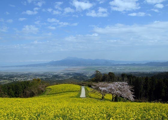 長崎県諫早市