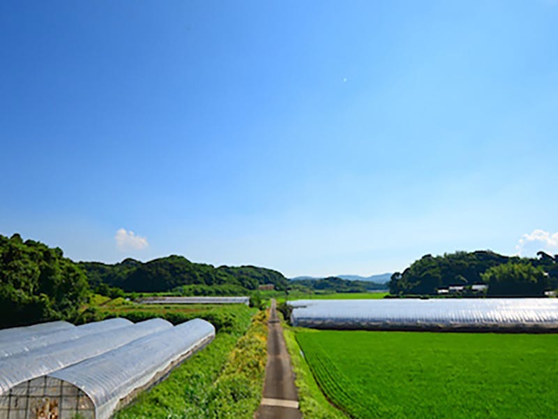 長崎県松浦市