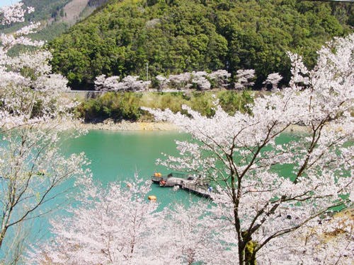 熊本県水上村