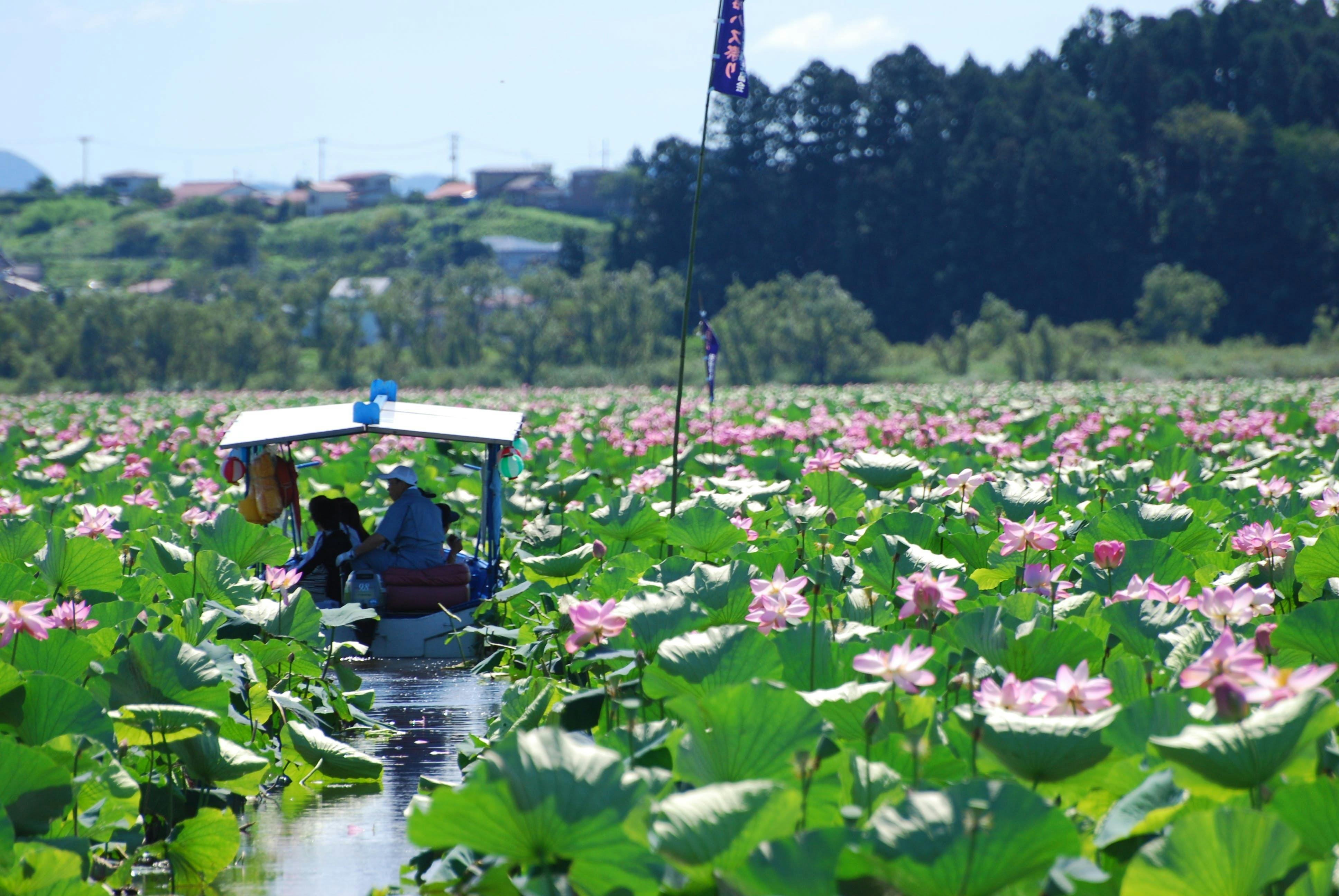宮城県栗原市