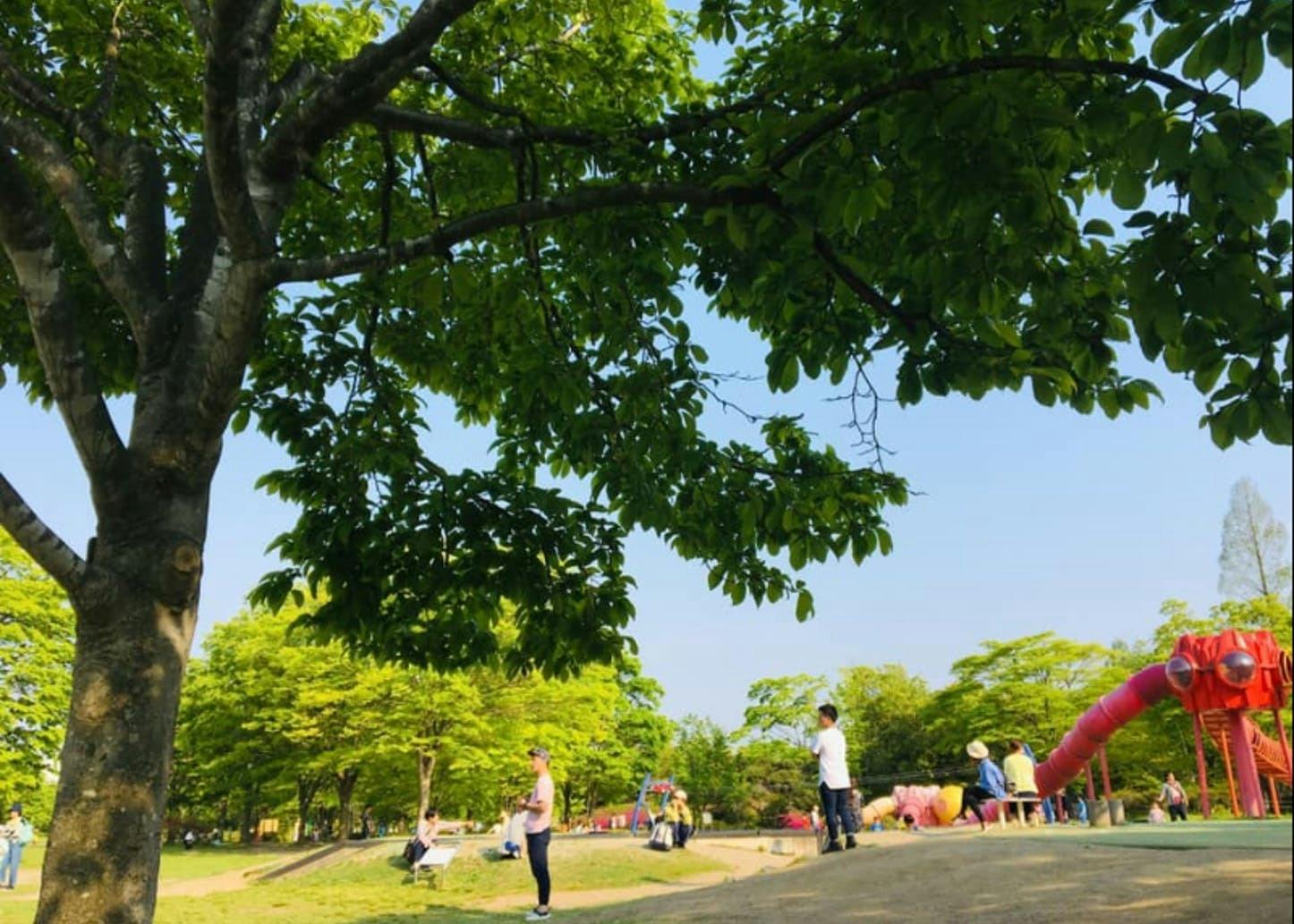 宮城県富谷市