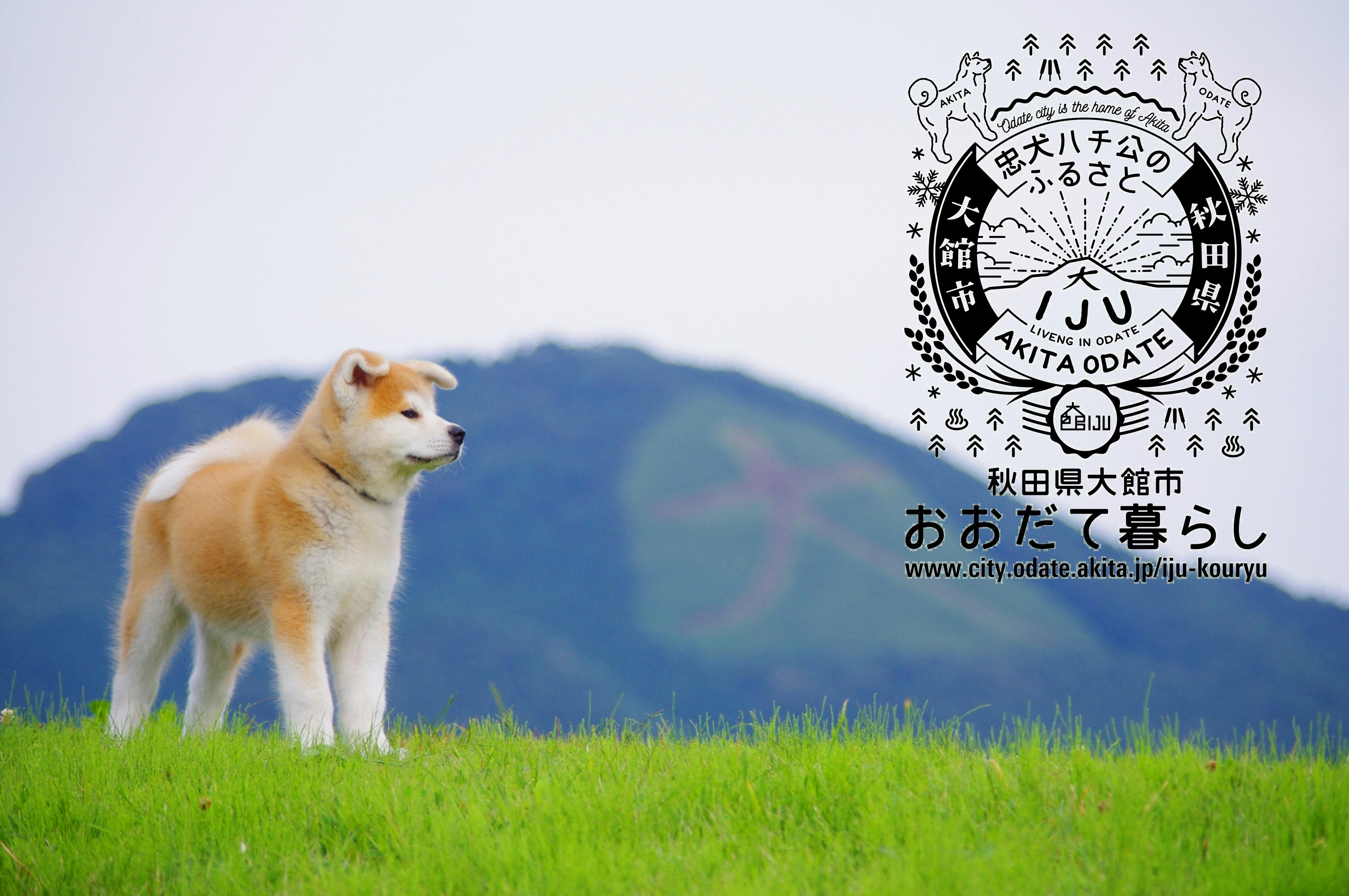 秋田県大館市