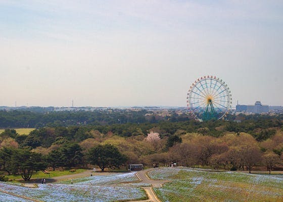 茨城県ひたちなか市