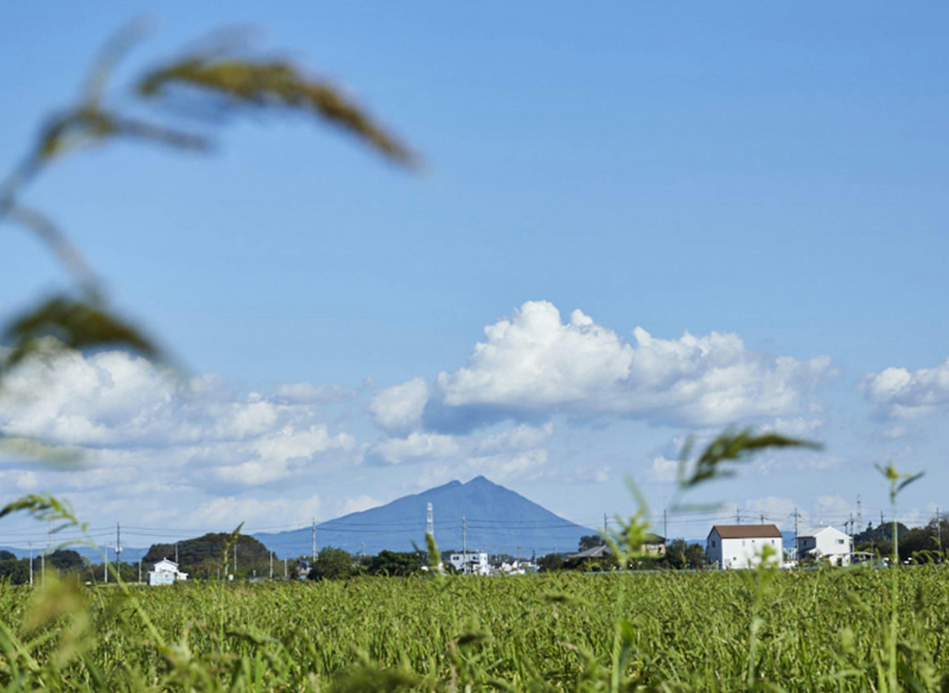 茨城県