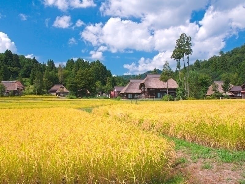 新潟県柏崎市 移住スカウトサービス Smout スマウト