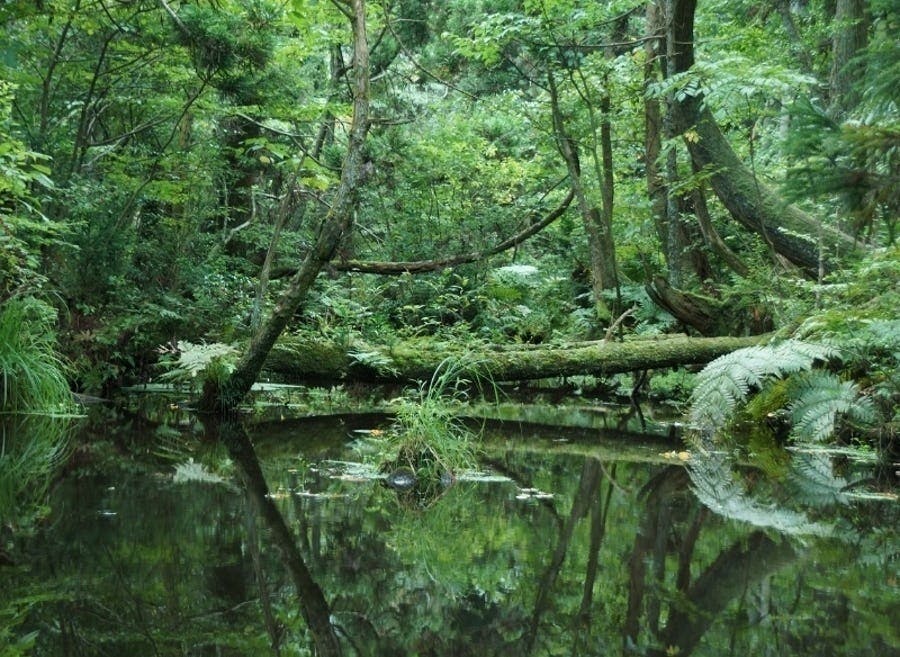 富山県入善町