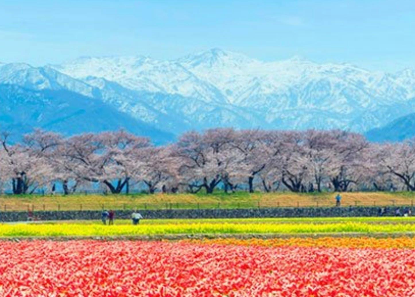 富山県朝日町