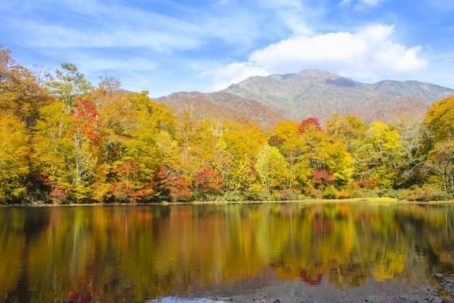 福井県大野市
