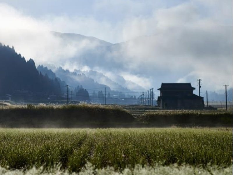 福井県池田町